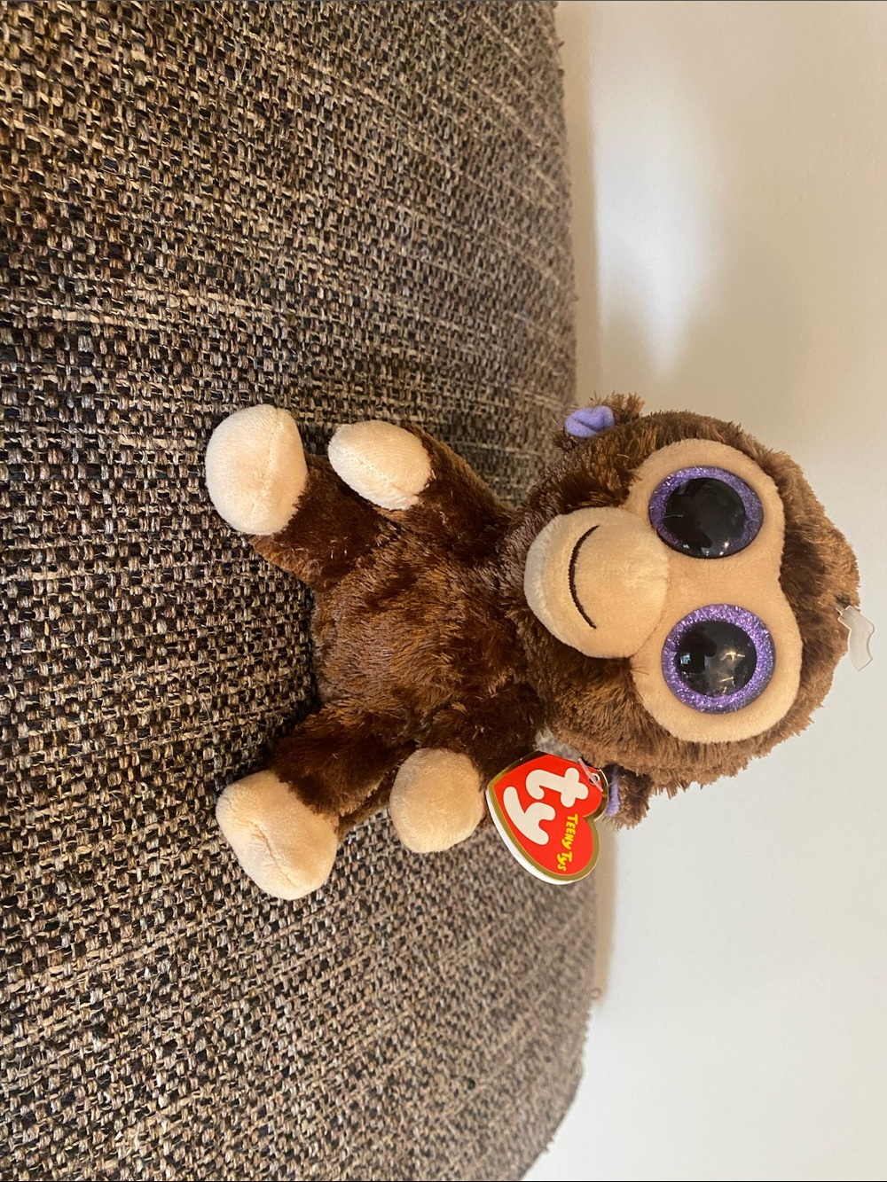 Coconut the Monkey (2014/2015)